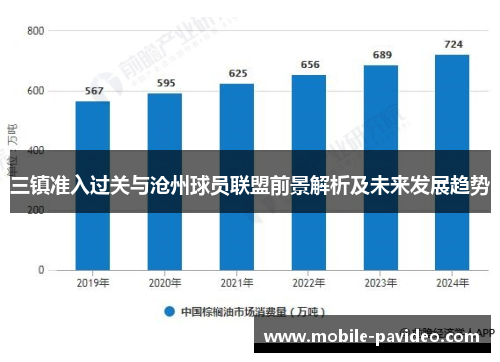 三镇准入过关与沧州球员联盟前景解析及未来发展趋势 三镇准入过关与沧州球员联盟前景解析及未来发展趋势