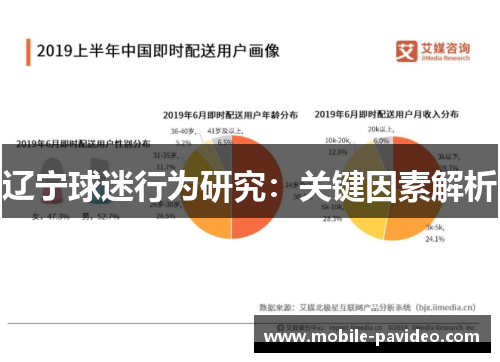 辽宁球迷行为研究:关键因素解析 辽宁球迷行为研究:关键因素解析