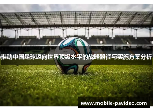 推动中国足球迈向世界顶级水平的战略路径与实施方案分析