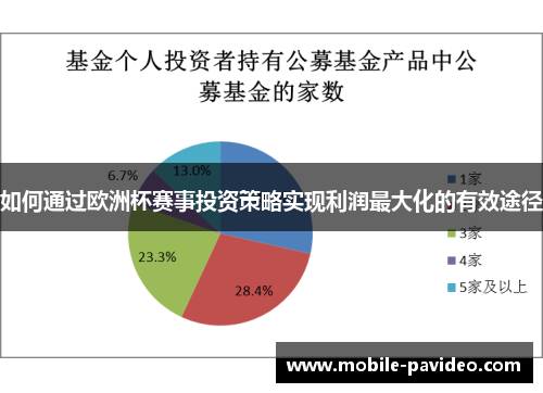 如何通过欧洲杯赛事投资策略实现利润最大化的有效途径 如何通过欧洲杯赛事投资策略实现利润最大化的有效途径