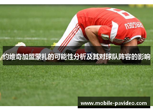 约维奇加盟蒙扎的可能性分析及其对球队阵容的影响